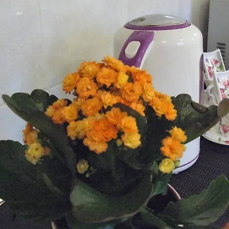 Ivana 公寓 斯普利特