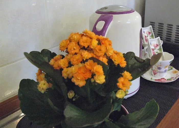 Ivana Διαμέρισμα Σπλιτ